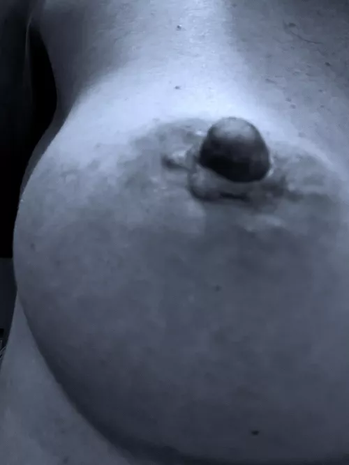 Alittle tit to start the week 