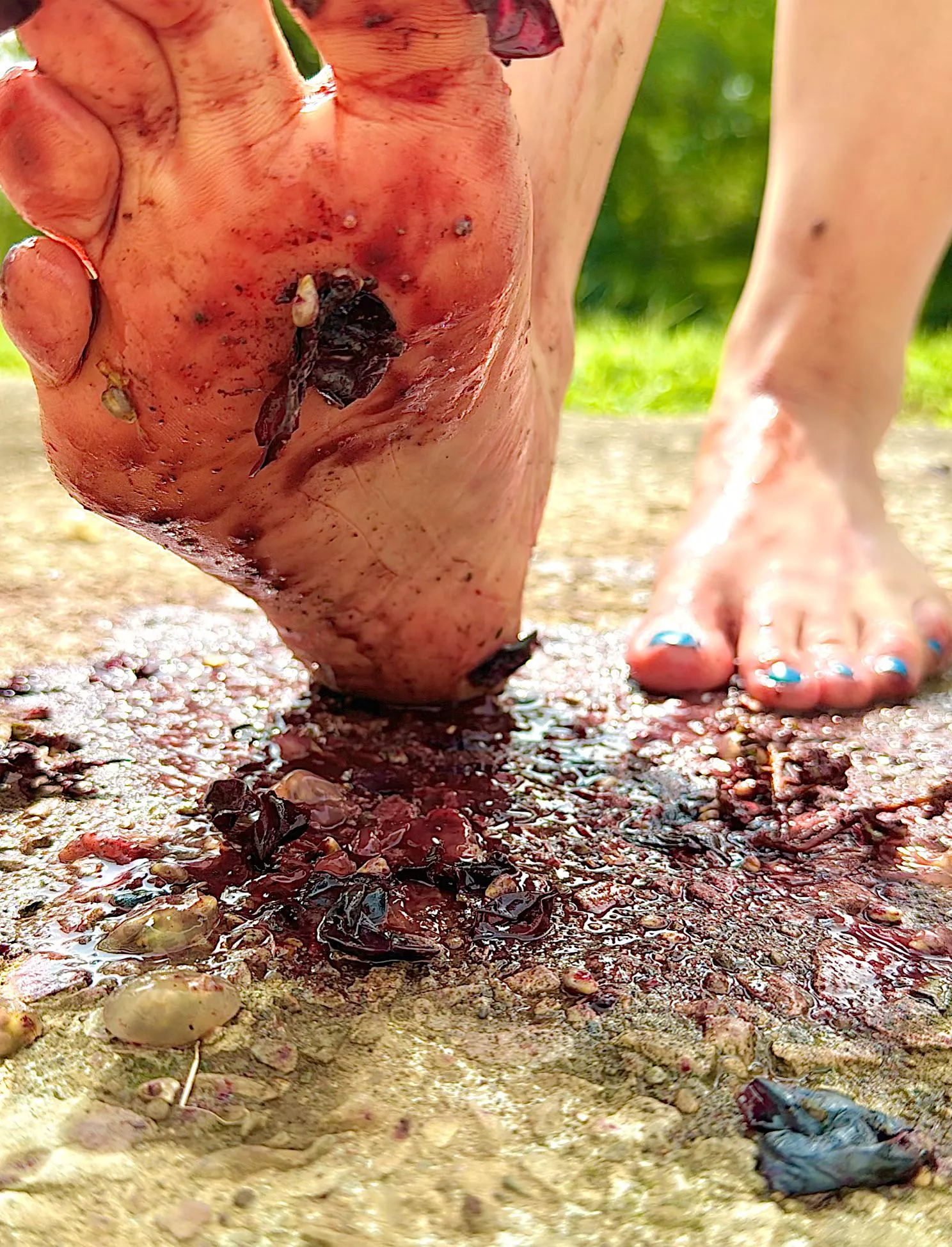 Beautiful day to stomp around in grapes