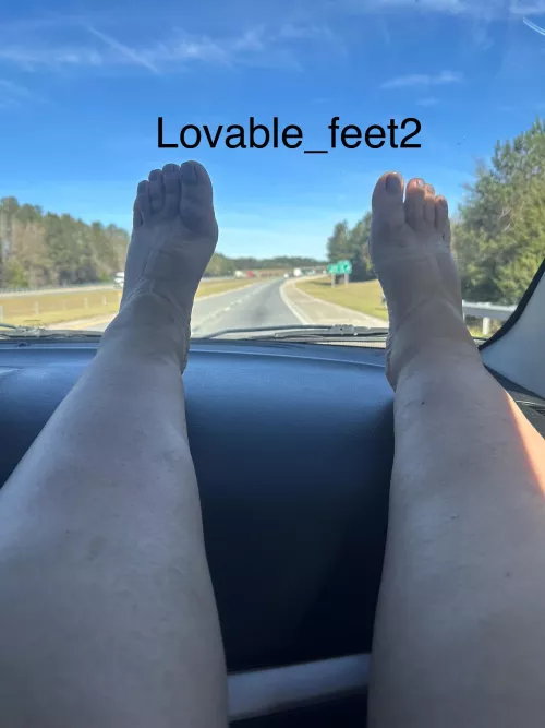 Hills of South Carolina 