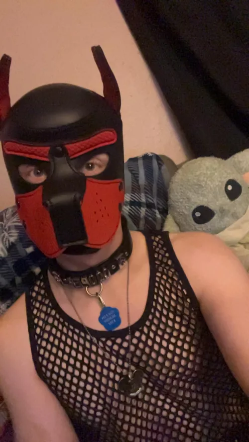 Hooman just told me I’m cute🤨