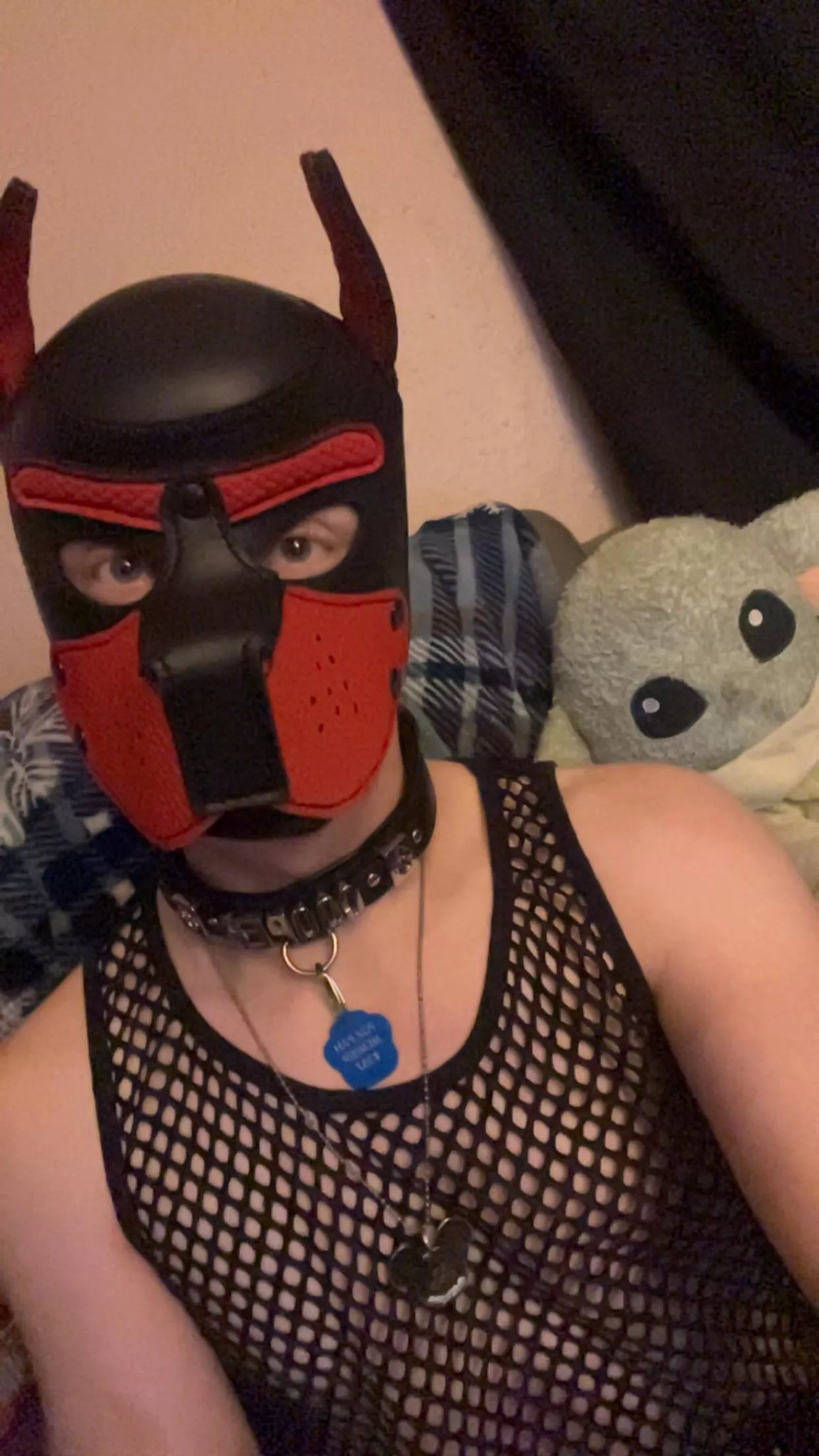 Hooman just told me I’m cute🤨