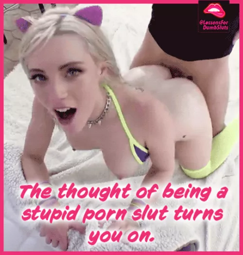 I love being a stupid porn slut