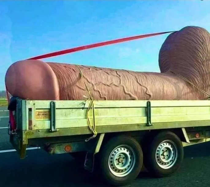 I recently took a road trip and was fortunate to find a trailer bed to haul my junk on. And fuck you if you think I'm kidding.