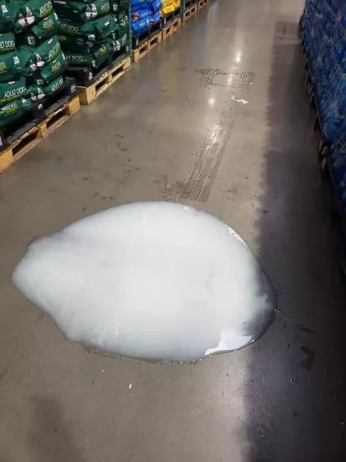 Me in December 1 at 12:01 at a random store 