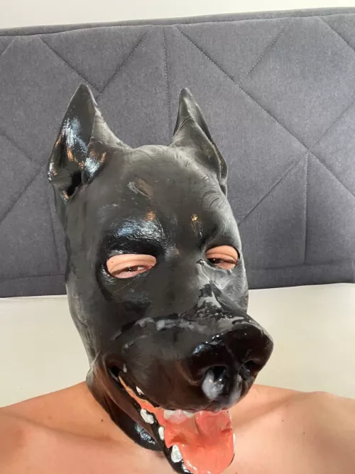 New acc here just wanted to say hii after some fun ;3