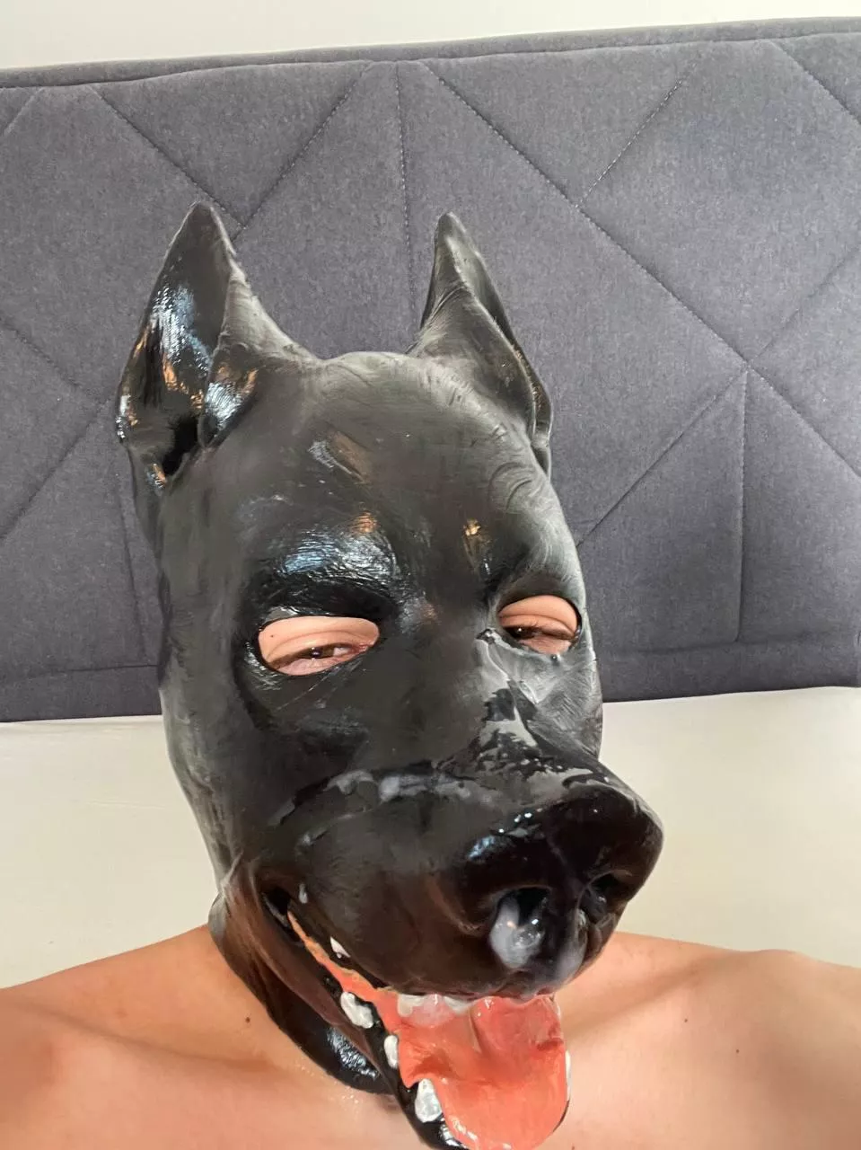 New acc here just wanted to say hii after some fun ;3