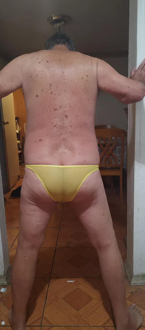 New See Through Briefs