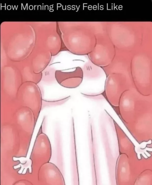 No better way to start off your day..😮‍💨