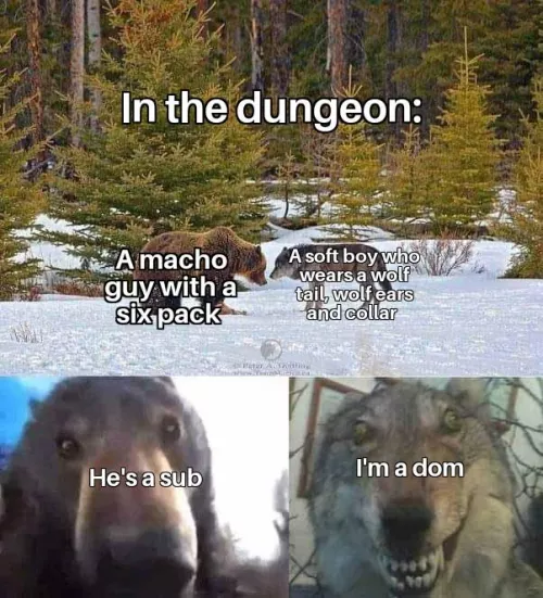 Not your stereotypical dynamics