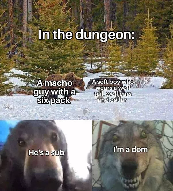 Not your stereotypical dynamics