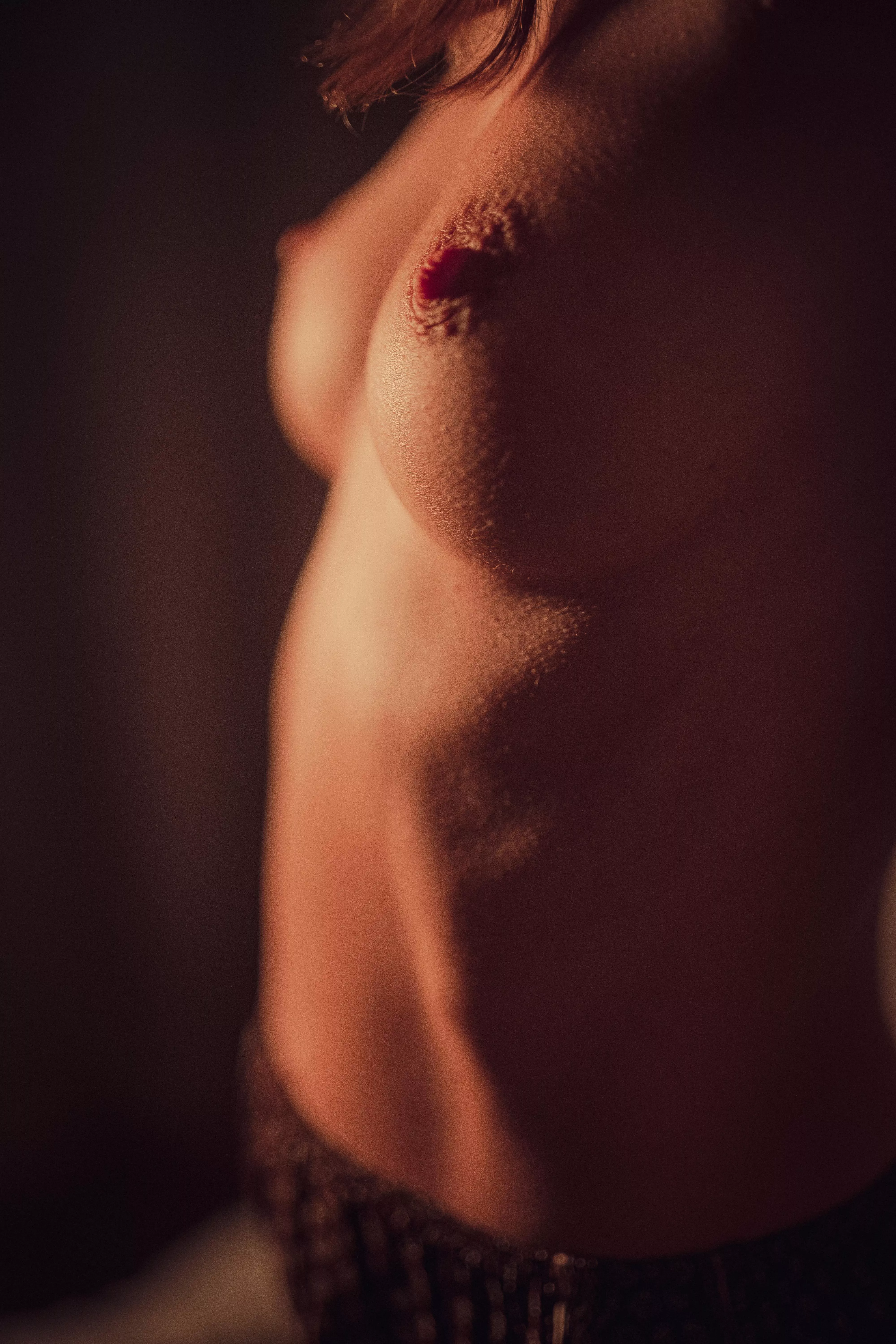 Petite & Perky Petite & Perky