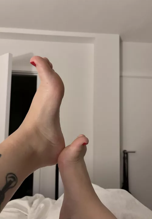 Small, soft and silky smooth - just how they're meant to be. Who's loving the view? 