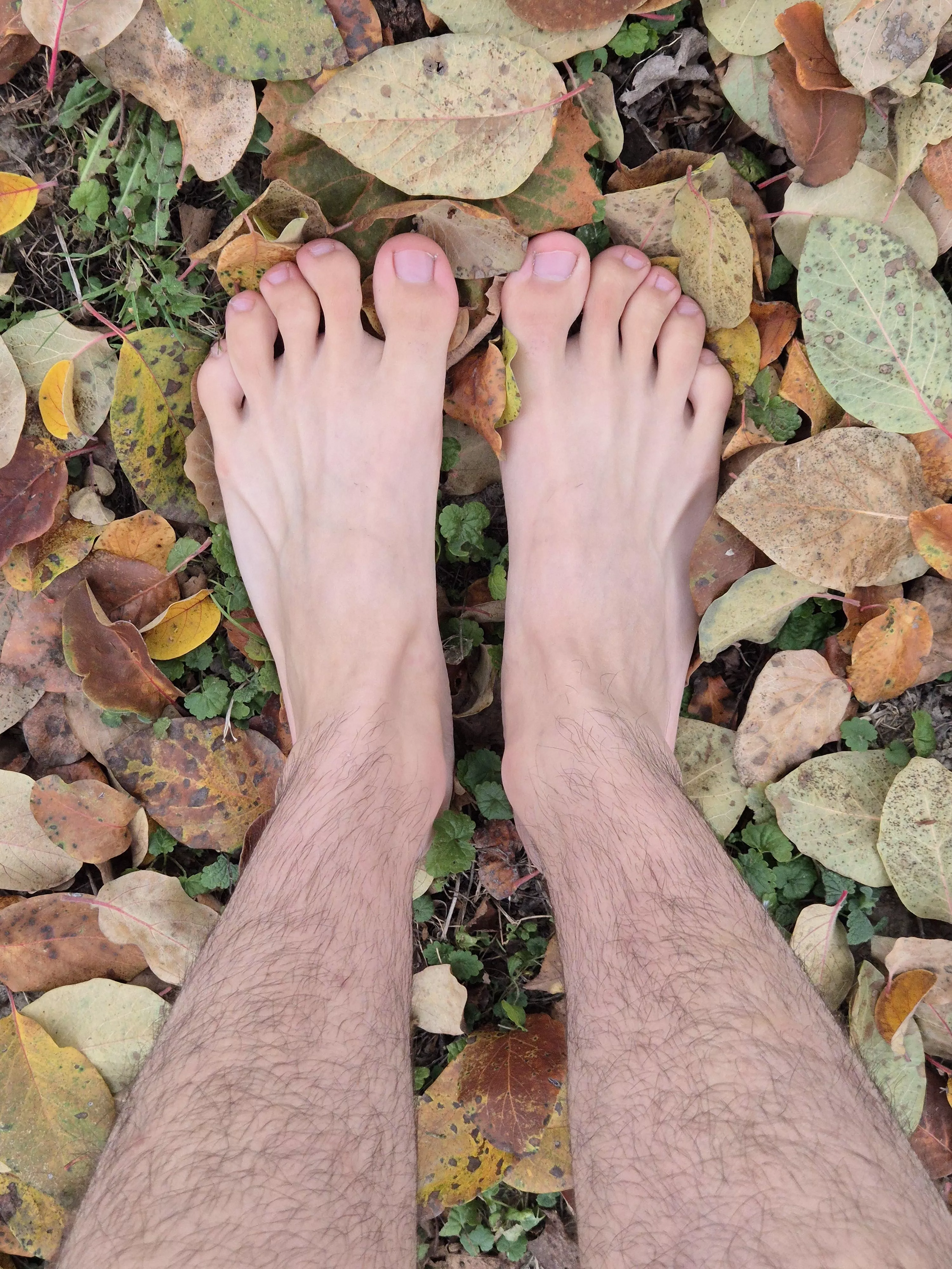 The feeling of autumn leaves under my feet🍂