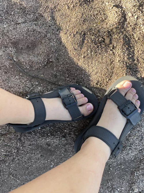 They are the cutest and most tender of today, aren’t they?