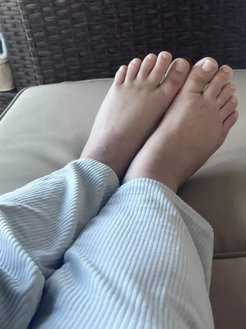 Would you suck them?