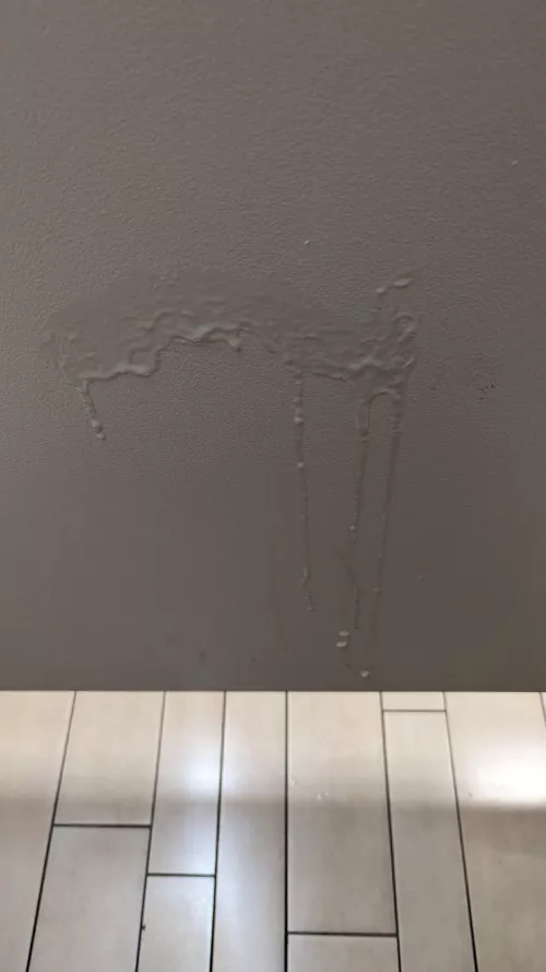 (22) Left one in the new business building just for Careless_Sundae_7921