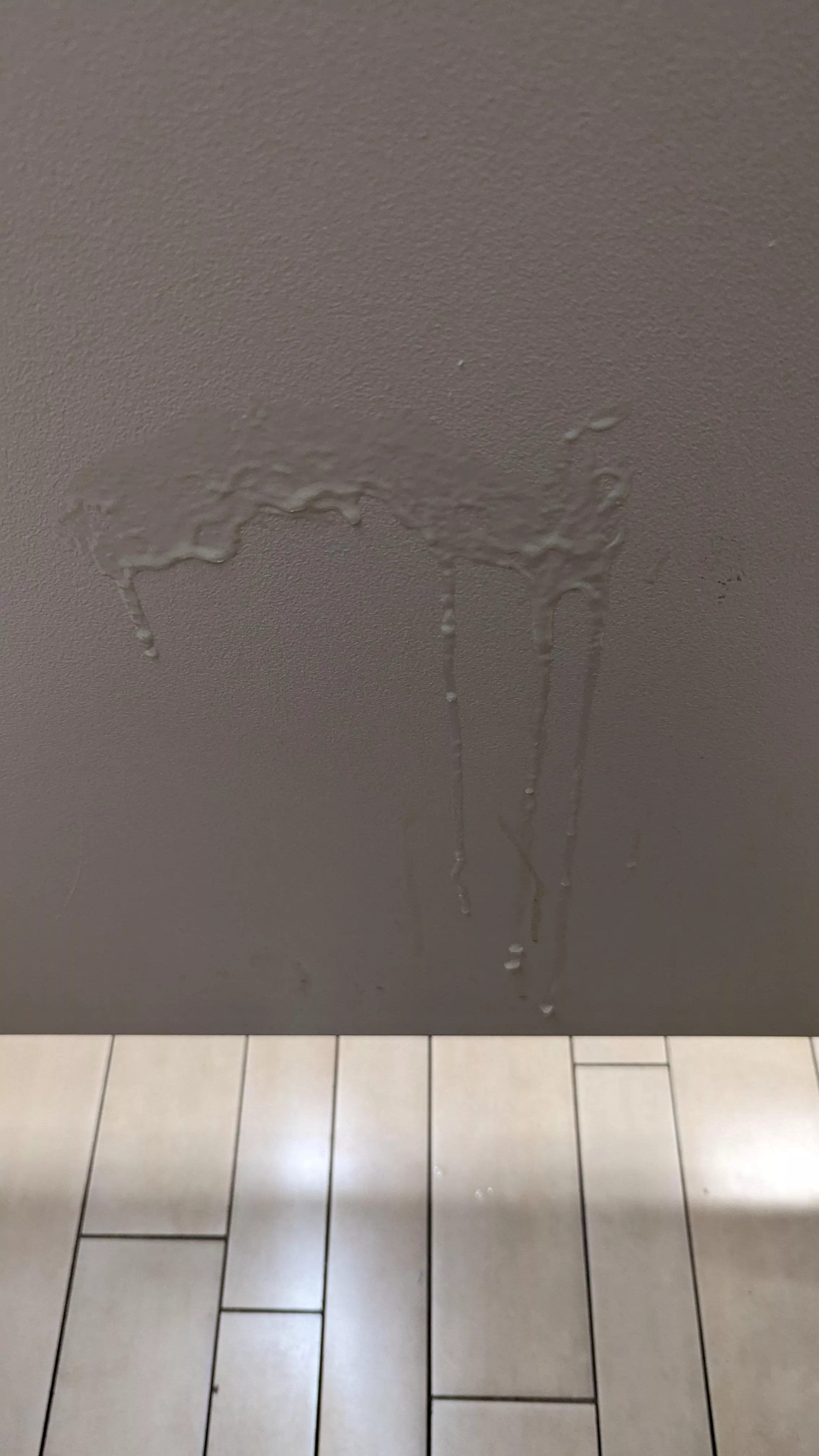 (22) Left one in the new business building just for Careless_Sundae_7921