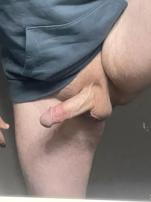 31M Austin, TX-Online Bull