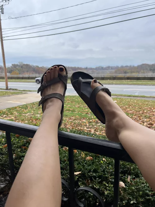A little birk dangling in front of everyone driving by 😋