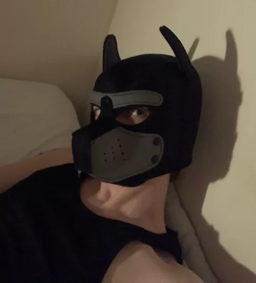 Got my first pup mask guys