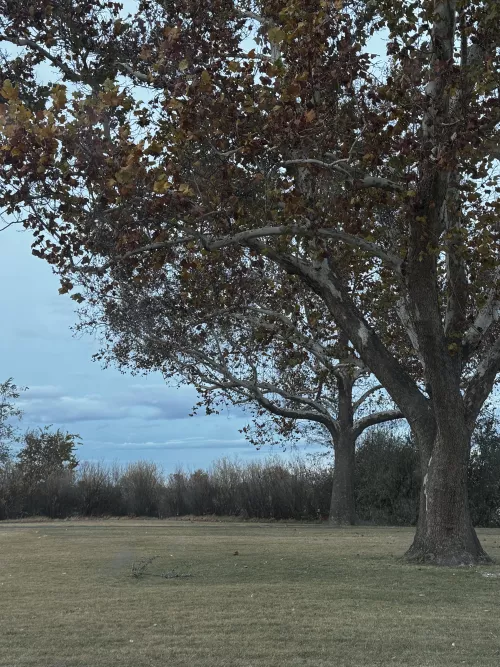 Guess the park and I’ll send u a preview of a baddie I fucked off here ;)