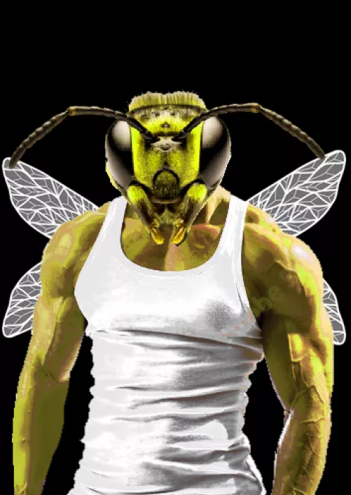 Guy from my dream named Big Bradley (I'm not a bee fucker)