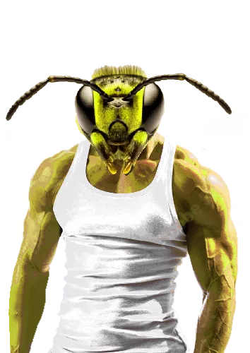 Guy from my dream named Big Bradley (I'm not a bee fucker)