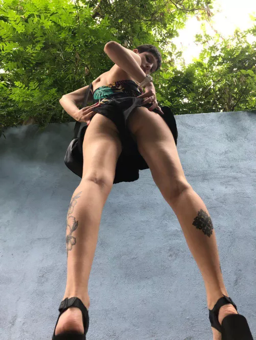 hope you like the view from the ground