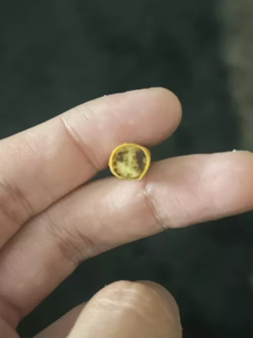 Just finished a lucky pack of Marlboro reds I found a few days ago, ended on this high note, lots of tasty tar in my filter. Lots of dangling and deep holds. Still having troubling finding a shop that will sell to me without ID (as I’m under 21) so who