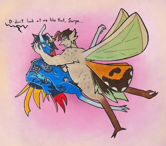 Kulon and Surya, my mothbird boys 🩵