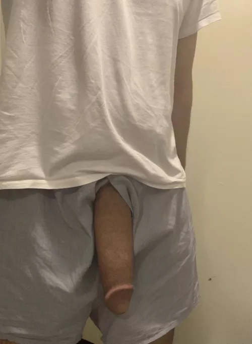 My softie chillin on hump day 😏