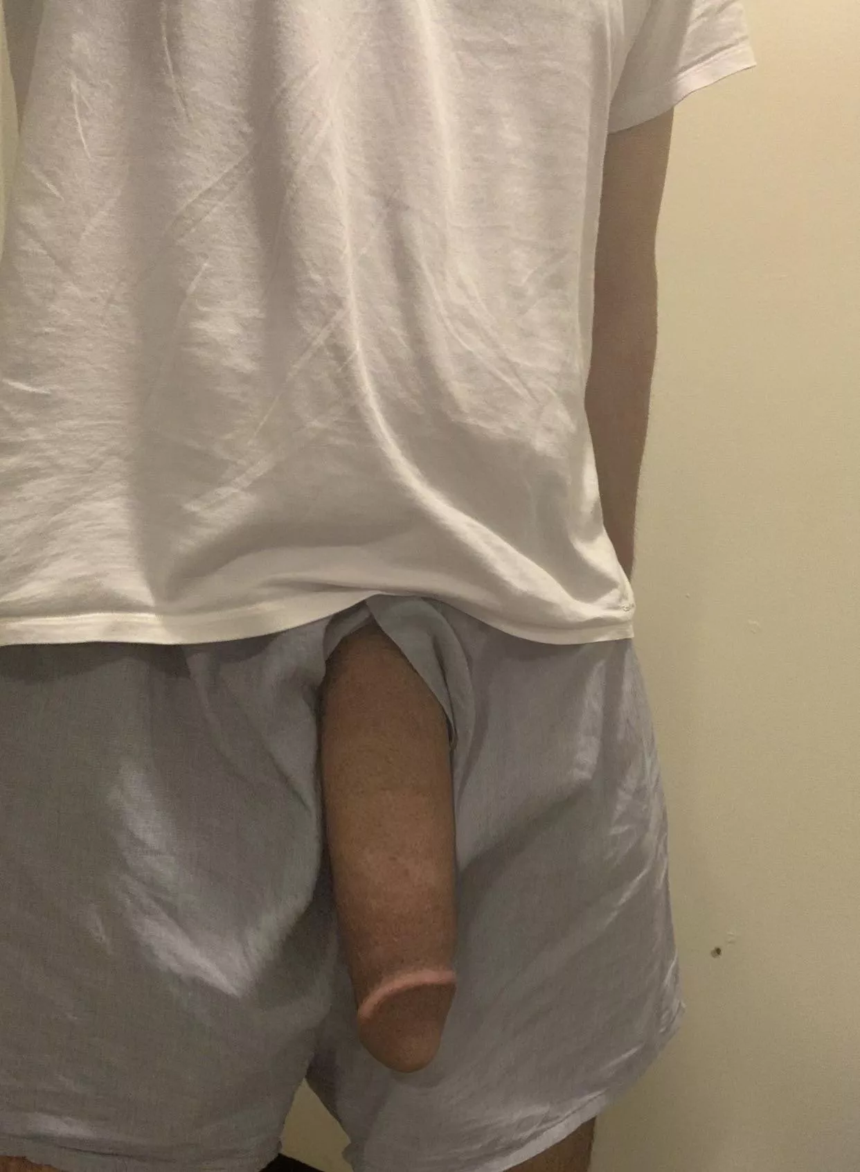 My softie chillin on hump day 😏