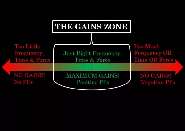 PE 101: Get to the GAINS ZONE! (Part 1)