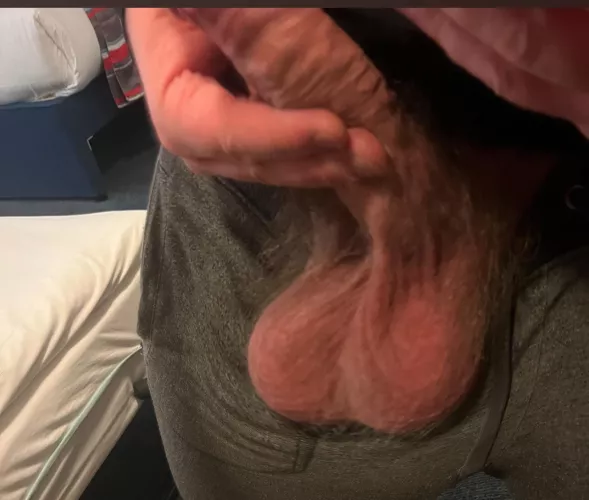 Sorry there hairy but what do you think of my balls?