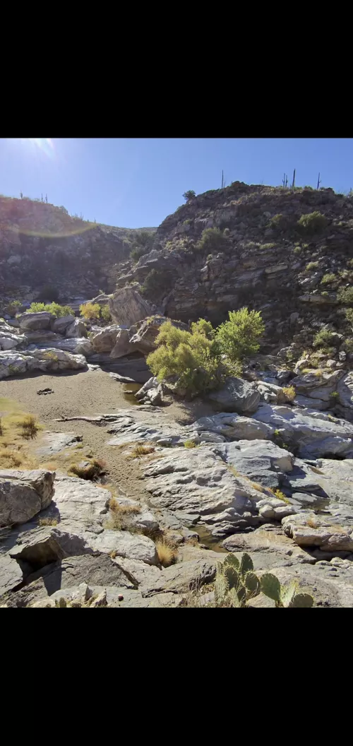 Usually beat the crowd. 