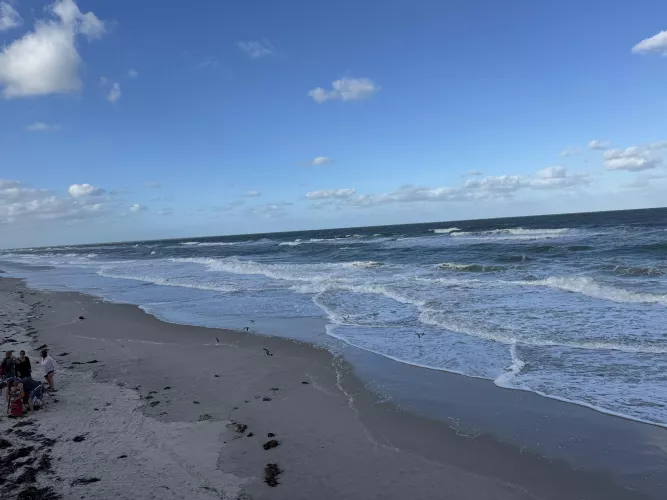 Windy but awesome quiet day 