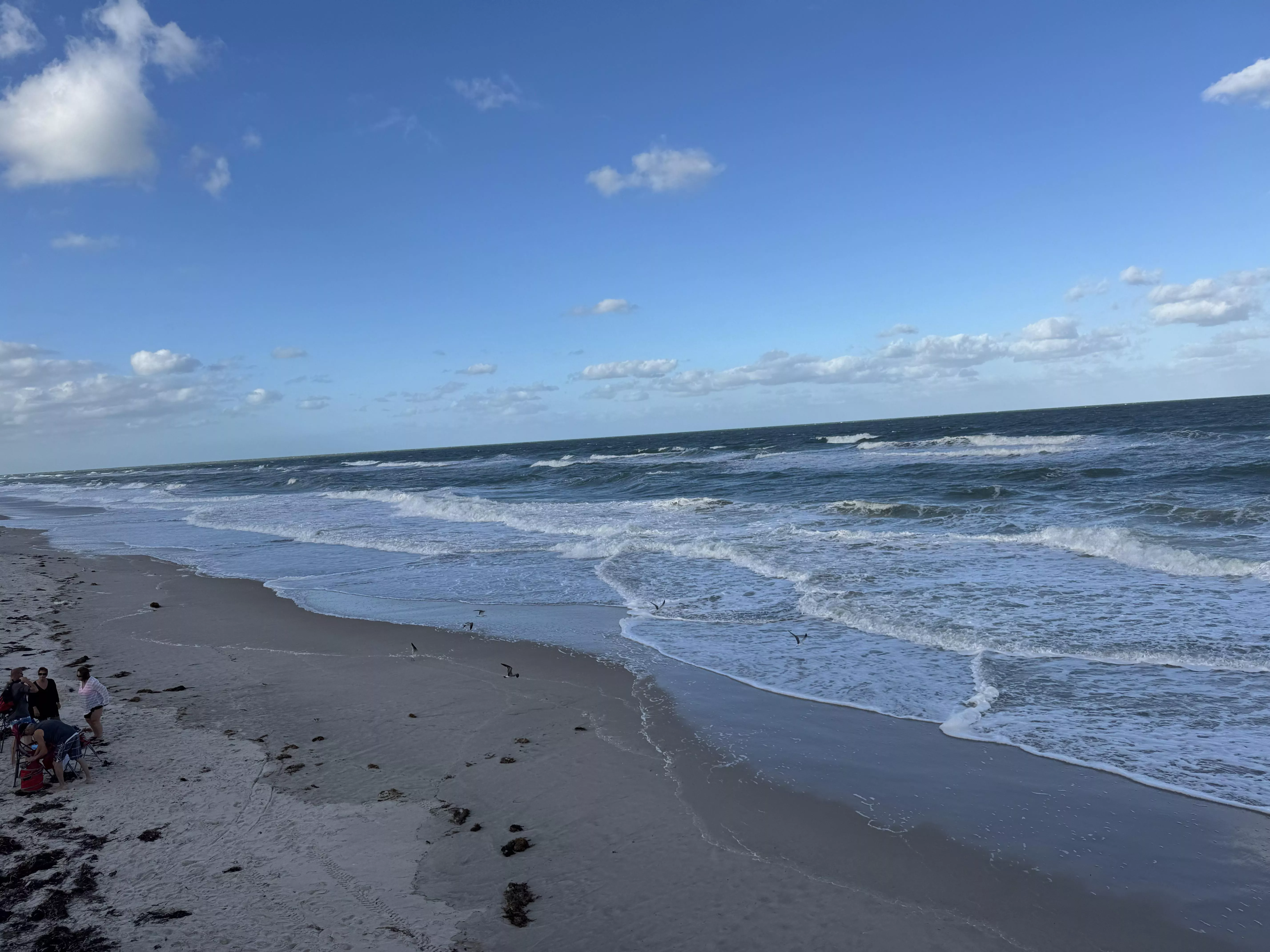 Windy but awesome quiet day 