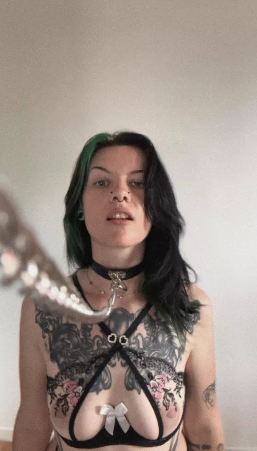 Want to go for a walk? 