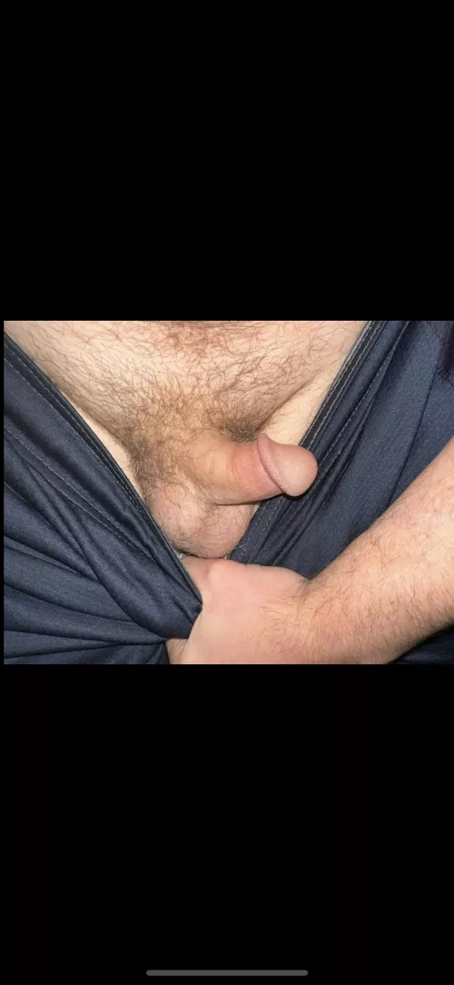 (33) here’s my little guy tonight