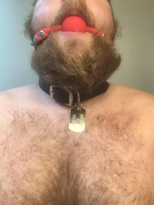 35M sub man for dom bbw