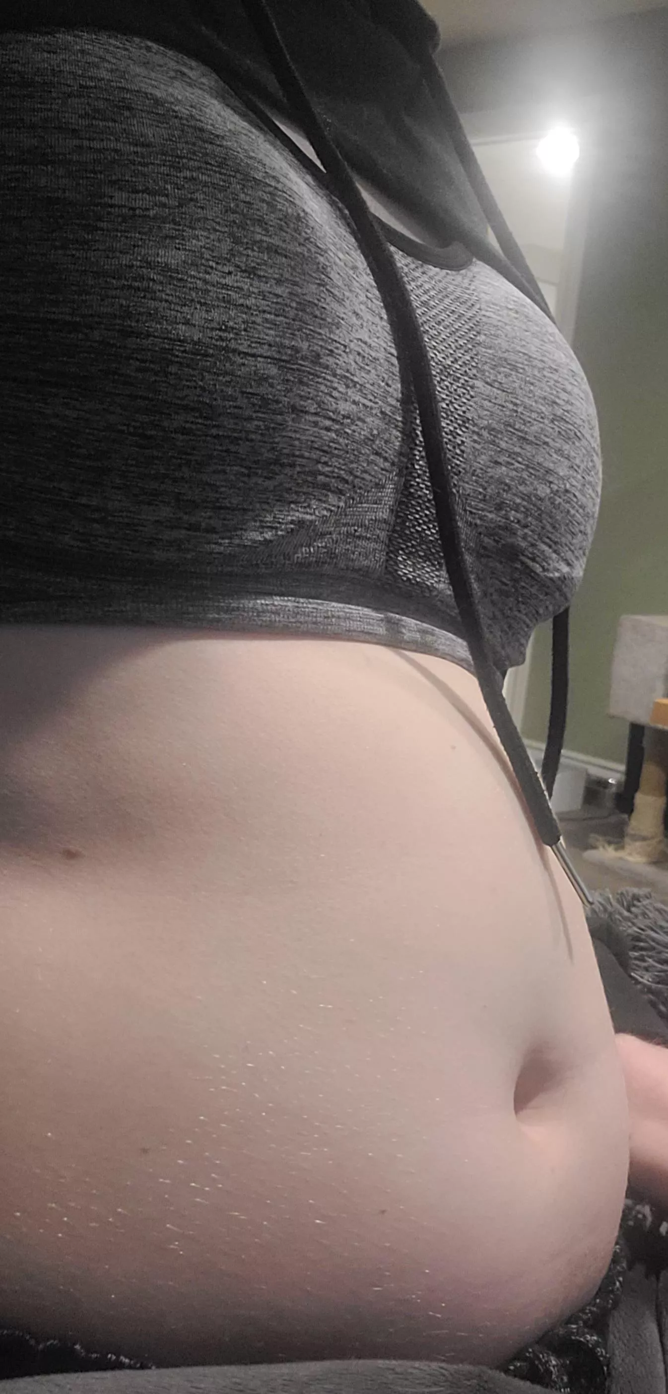 Does anyone like bloated furries