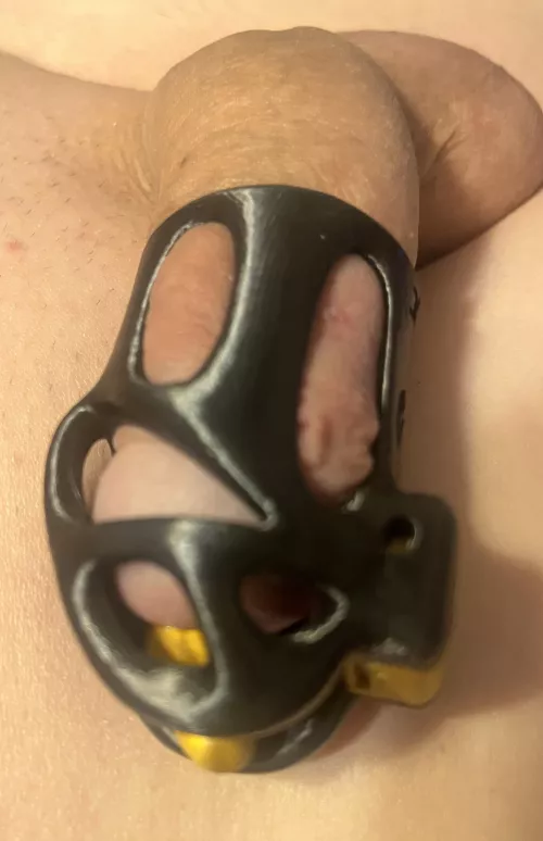 Head cage from Rooster Cage