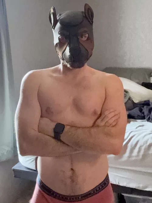 Introducing Pup Toby!