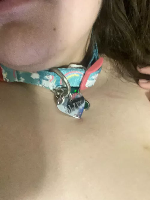 My pet play collar... am I labeled appropriately? 