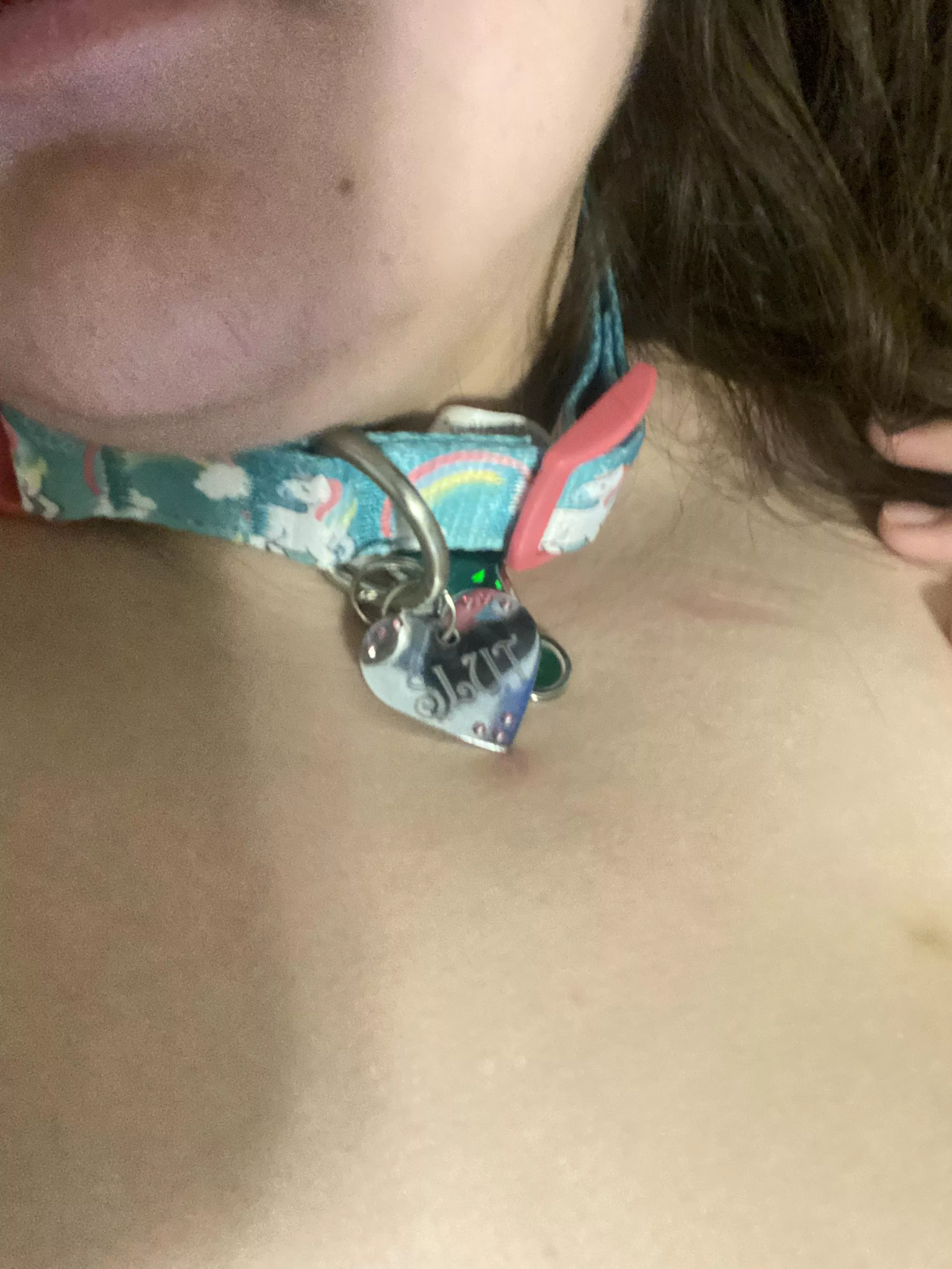 My pet play collar... am I labeled appropriately? 