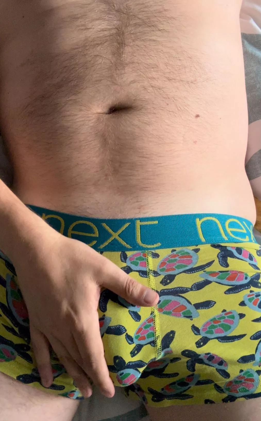 Non Teenage, Non Mutant, Non Ninja…. Turtles!