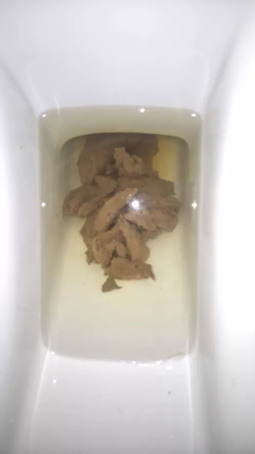 Trying to fill toilets up around Europe. Switzerland ✅️