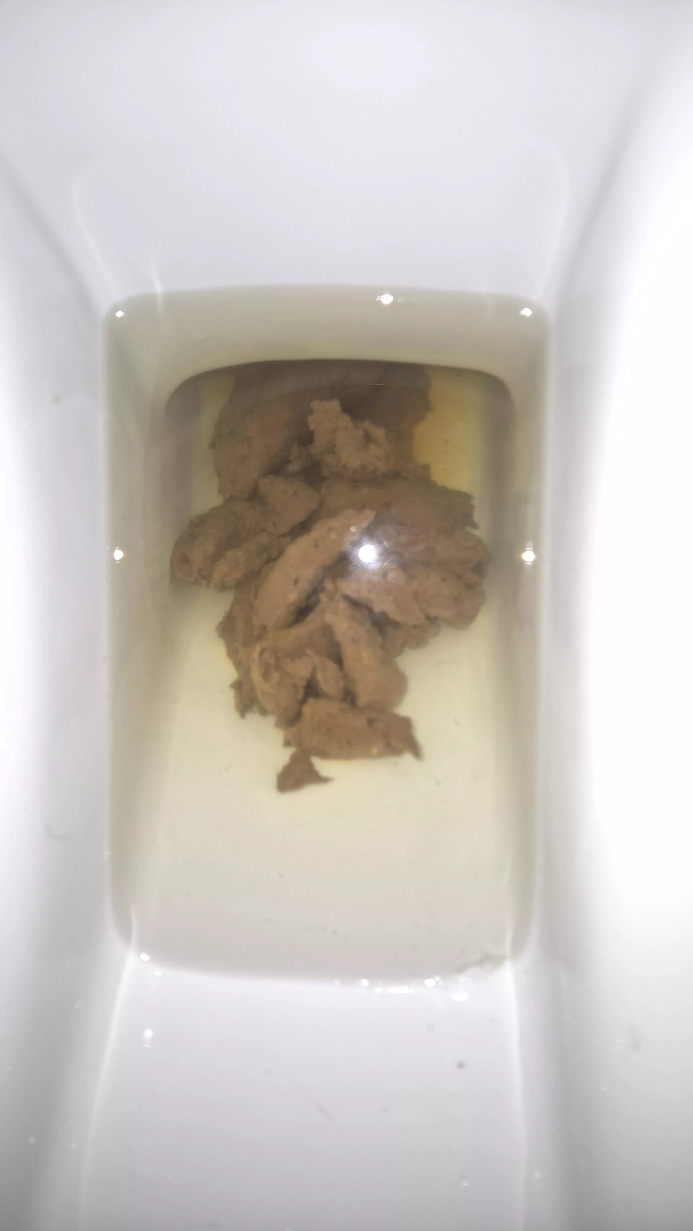 Trying to fill toilets up around Europe. Switzerland ✅️