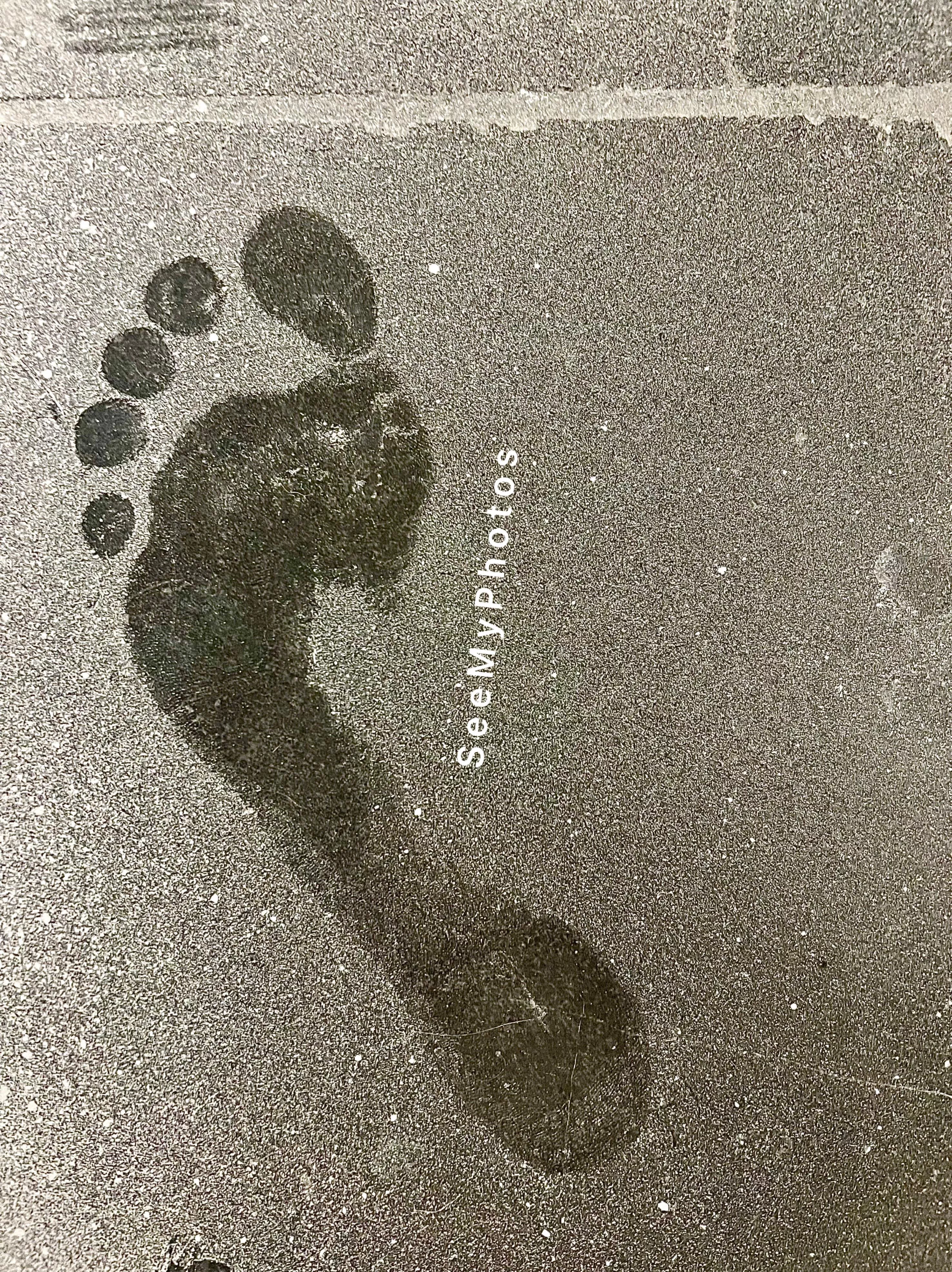 Want to see what my feet look like?