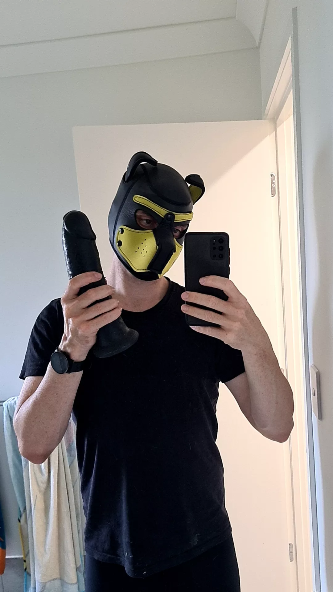 Who likes my toy? 🐾